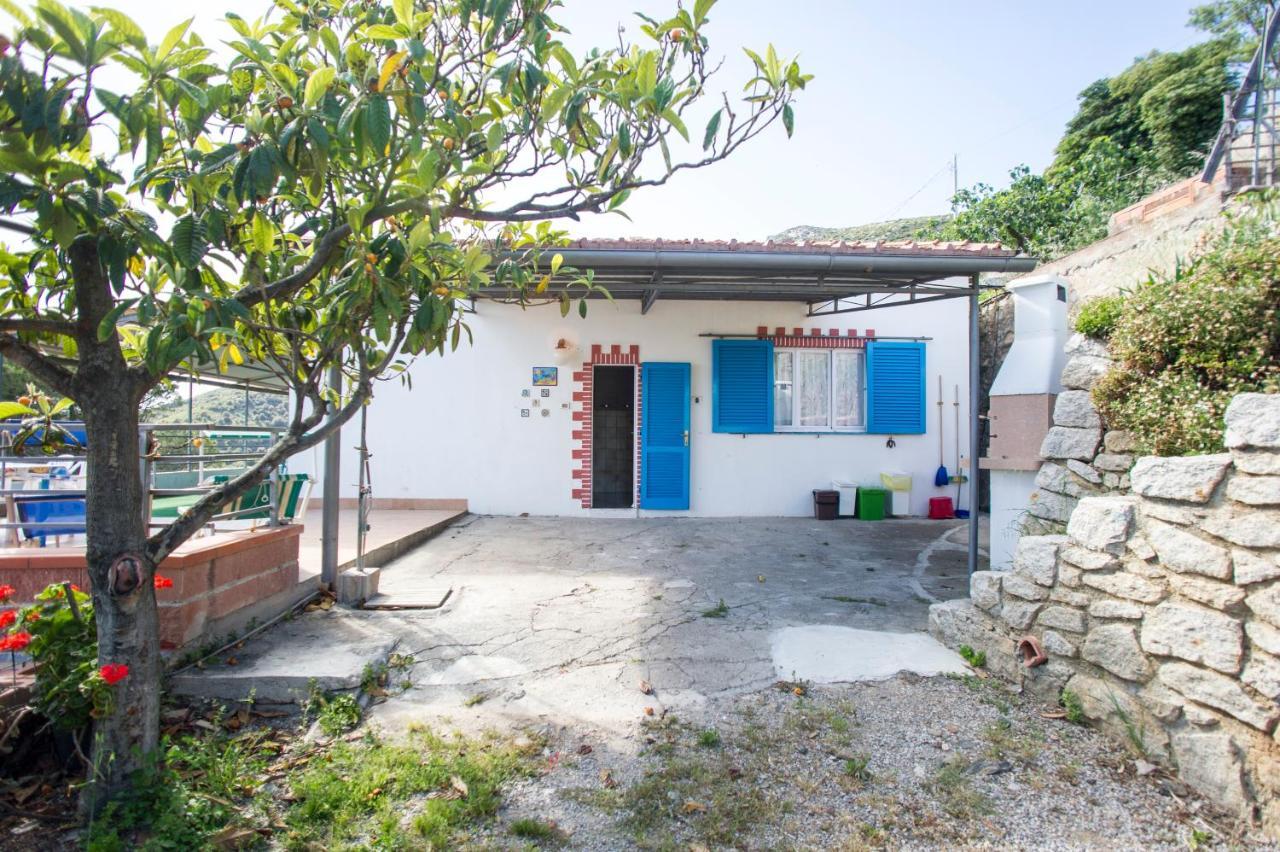 Villa La Terrazza Sul Mare - Goelba فيتوفايا المظهر الخارجي الصورة